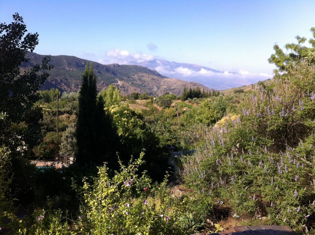 فيلا Cortijo La Vinuela Atalbeitar المظهر الخارجي الصورة